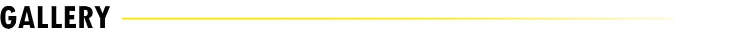 Gallery Title Bar - Inc Site copy